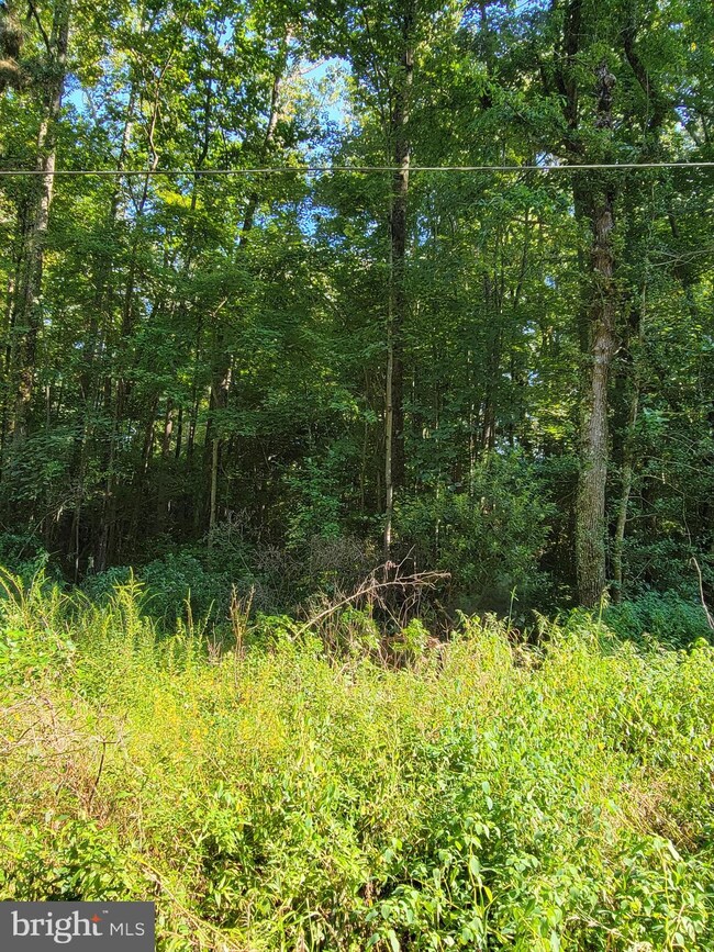 0 Azure Dr unit VAWE2000758, Colonial Beach, VA 22443 - photo 4