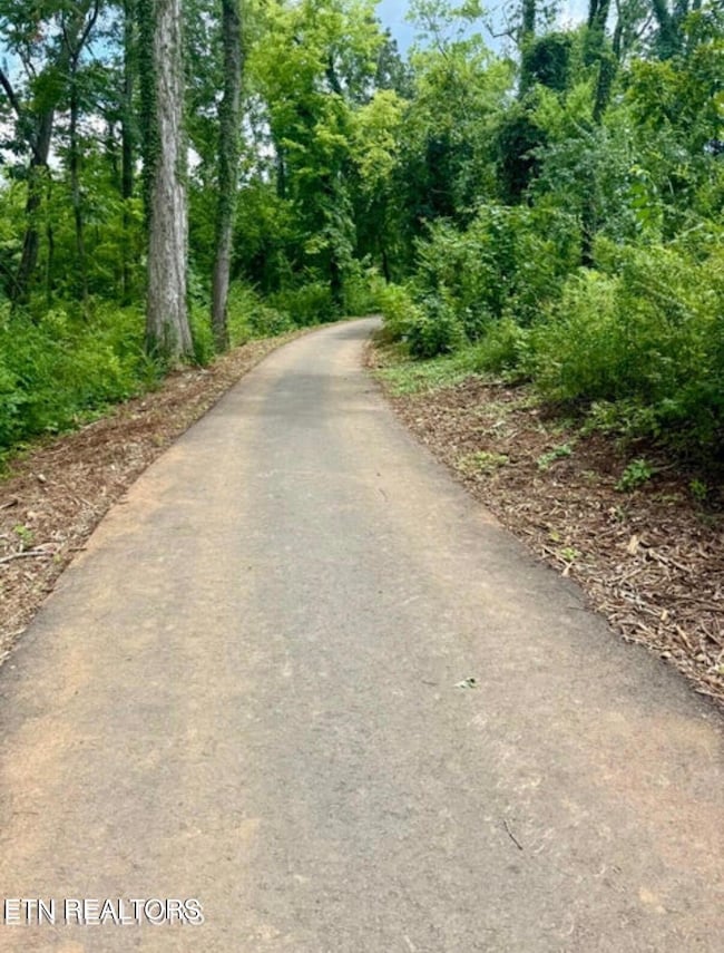 1736 Bennett Village Dr, Maryville, TN 37804 - photo 6