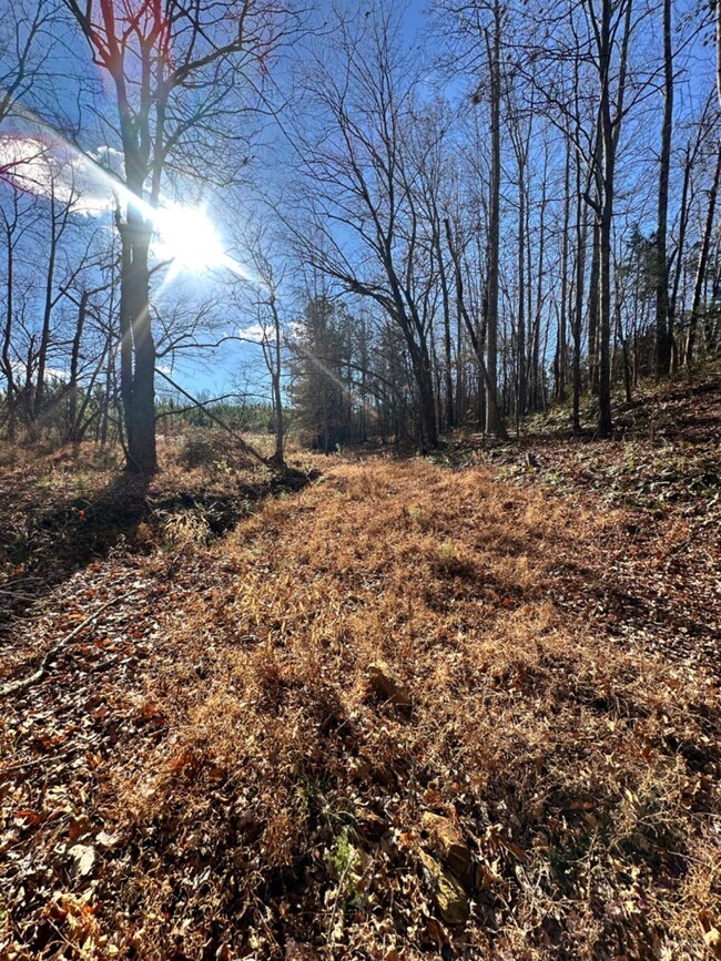 0 Lot 2b Police Tower Rd unit 363222, Appomattox, VA 24522 - photo 3