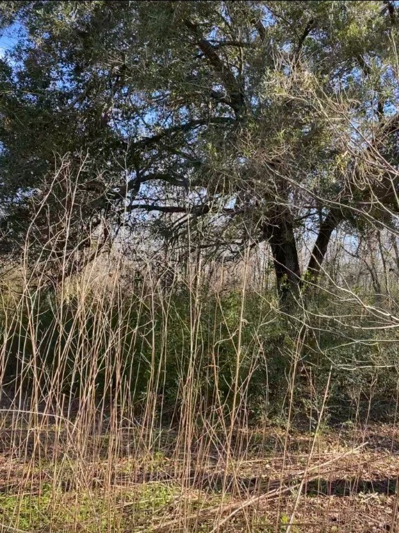 2148 County Road 540, Alvin, TX 77511 - photo 7