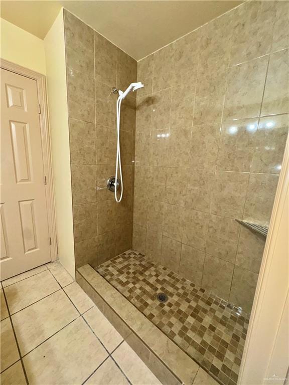 Full bathroom featuring tile patterned flooring and a tile shower