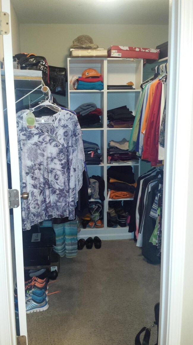 Walk in closet master