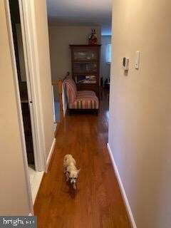 13527 Turkey Branch Pkwy, Rockville, MD 20853 - photo 6