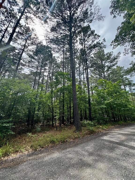 26 Mangrove Rd, Hochatown, OK 74728 - photo 5