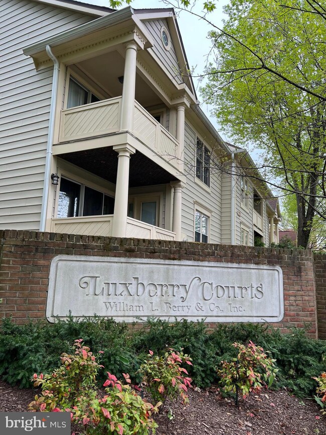 5705 Mayfair Manor Dr unit 86, Rockville, MD 20852 - photo 2