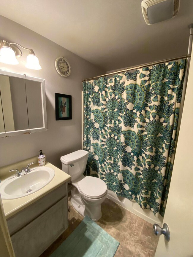 burkus bathroom 2