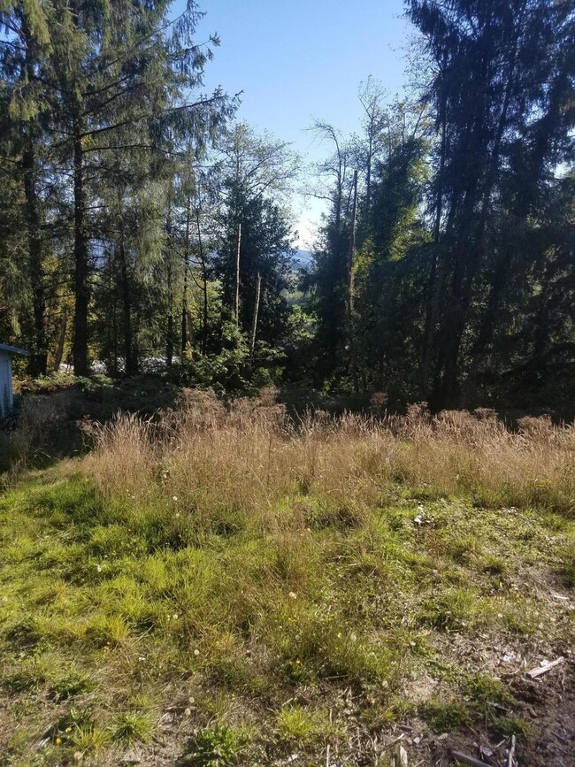 VL Aldercrest Rd, Tillamook, OR 97141 - photo 4