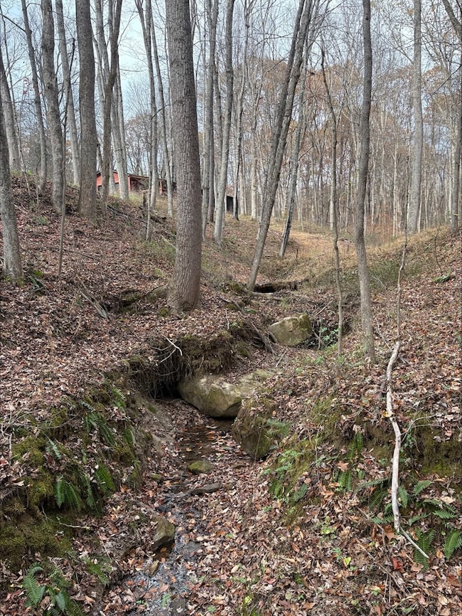 3110 Borland Rd, Jackson Township, OH 45672 - photo 4