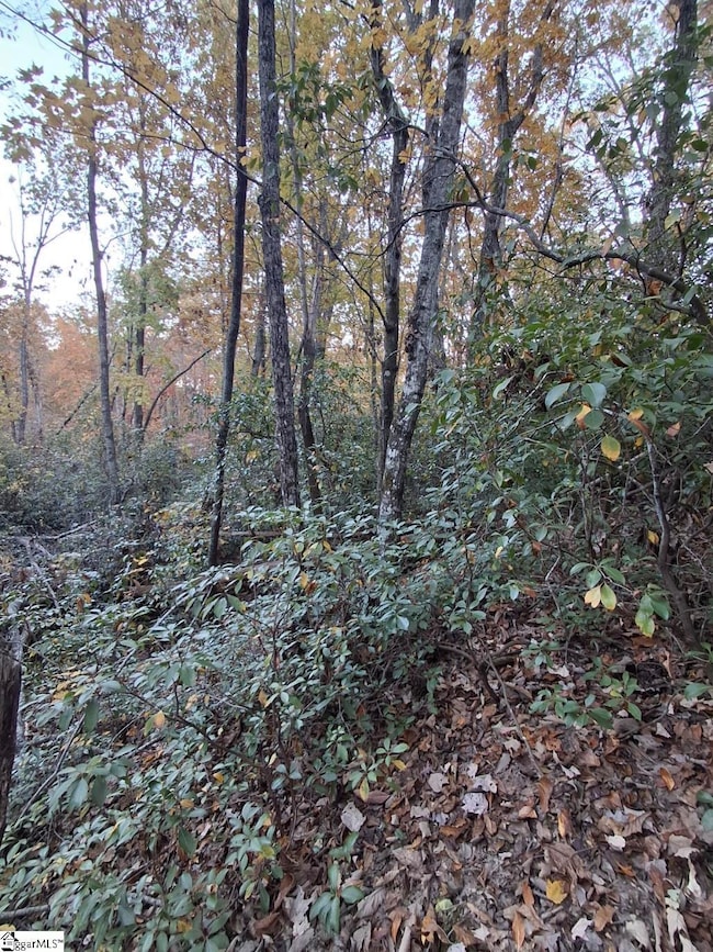 0 Eastview Dr, Pickens, SC 29671 - photo 3