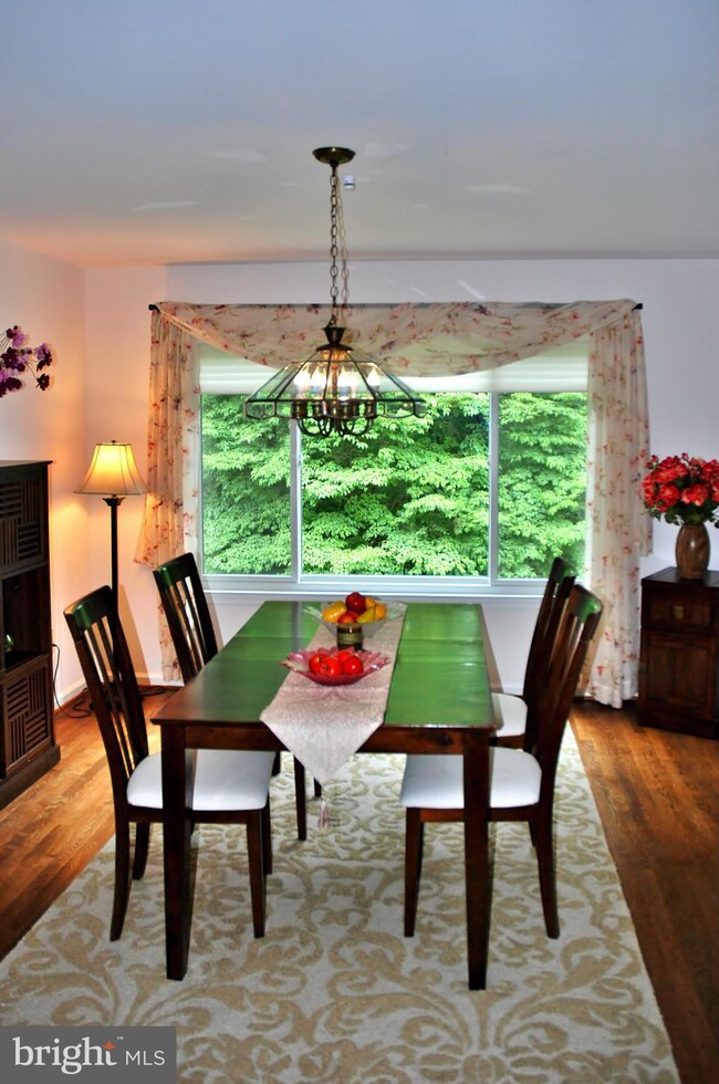 14509 Antigone Dr, North Potomac, MD 20878 - photo 6