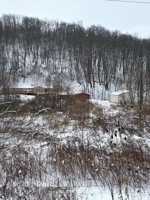 20497 Hady Ln, Gays Mills, WI 54631 - photo 4