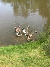 21 Brookfield Cir, Magnolia, TX 77355 - photo 6