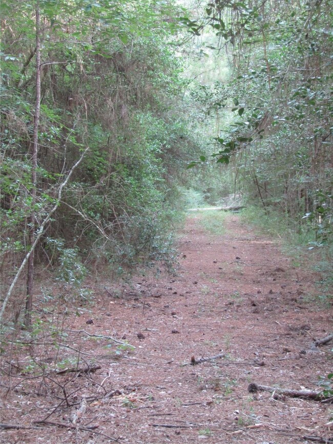 2.53 Acres Hackberry Dr, Plantersville, TX 77363 - photo 7