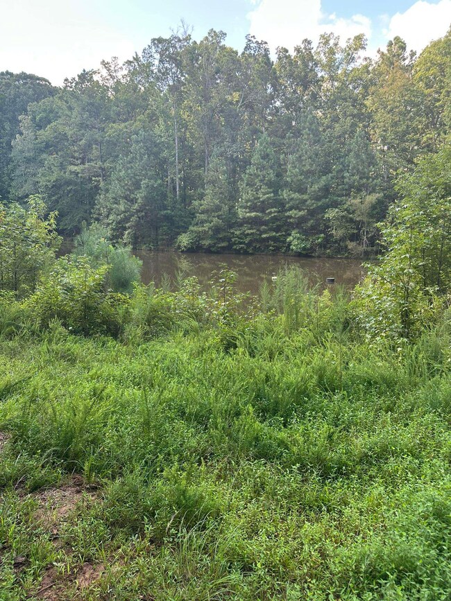 0 Fears Rd unit 69810, Madison, GA 30650 - photo 3