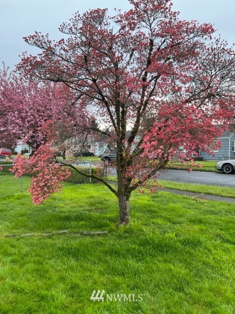 3125 Florida St, Longview, WA 98632 - photo 4