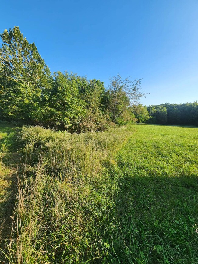 5700 SW Mirabile Dr, Polo, MO 64671 - photo 2