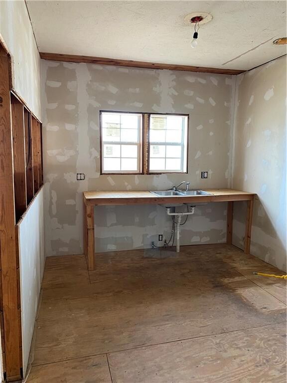 Kitchen sink area and window