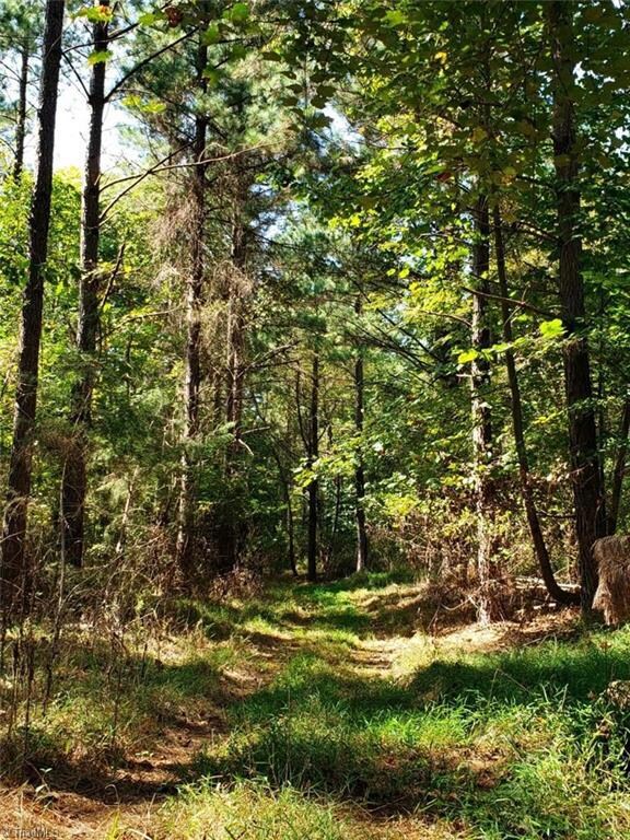 5680 Silk Hope Gum Springs Rd, Siler City, NC 27344 - photo 2