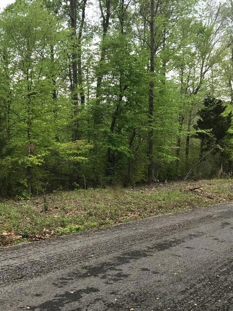 3.13 acre lot