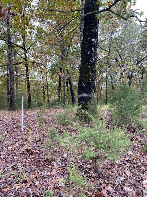 0 Marion County 8080, Flippin, AR 72634 - photo 7