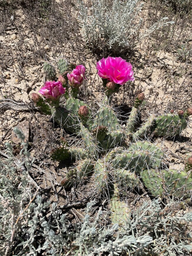 14180 High Mesa Loop unit 66, Duchesne, UT 84021 - photo 7