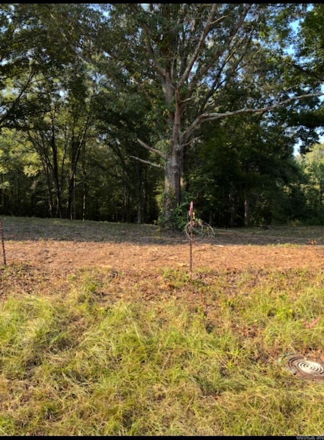 Tract C 1-2 Morning Star Cir, Benton, AR 72015 - photo 2