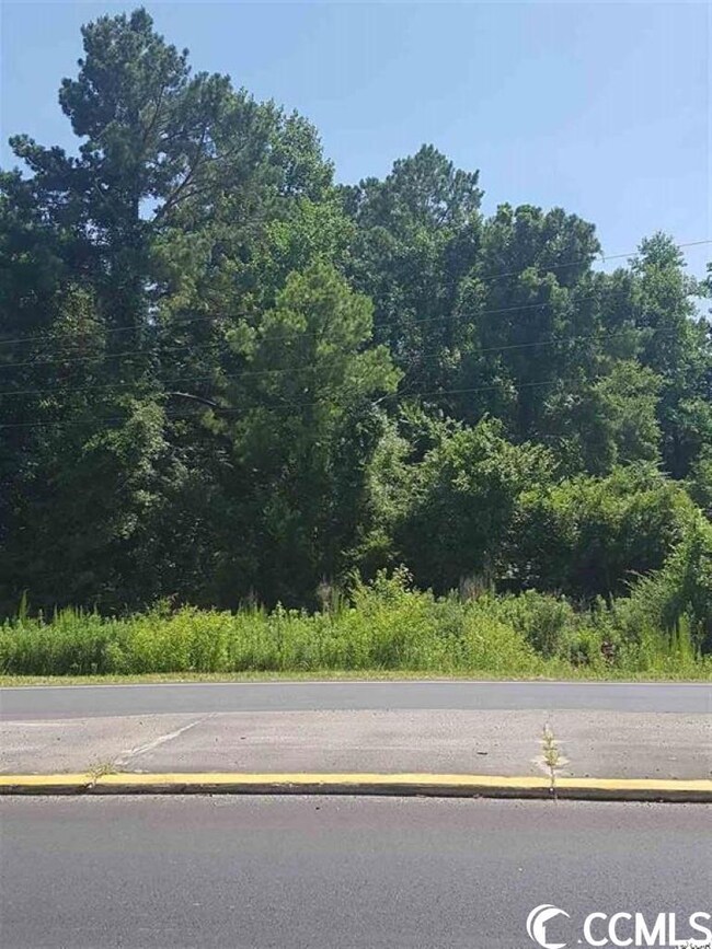 TBD Highway 9 Bypass, Loris, SC 29569 - photo 5