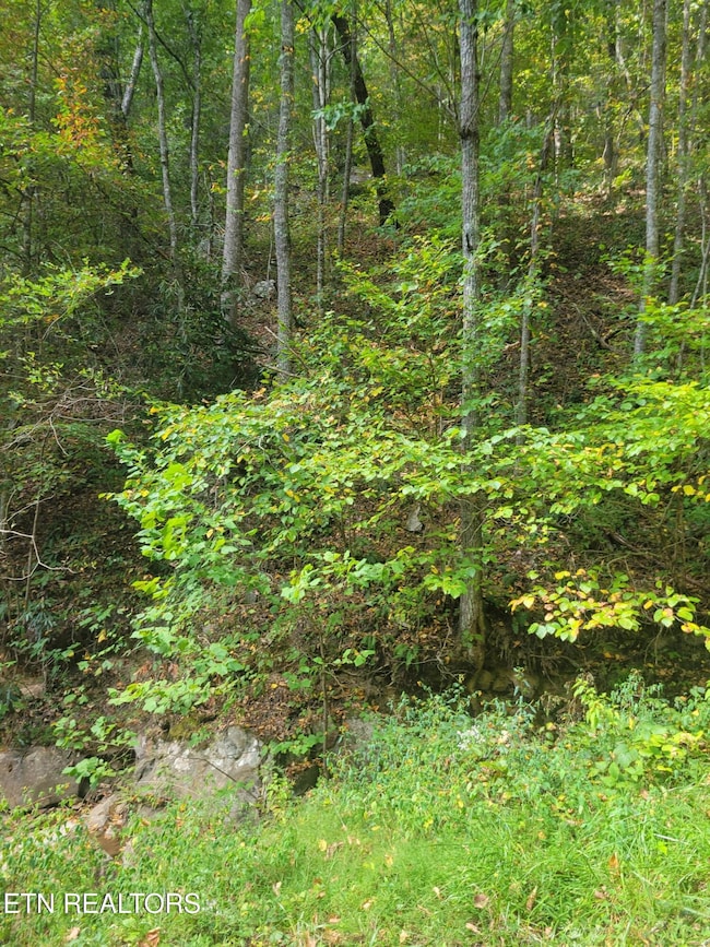 0 Alpine Dr unit 1283013, Sevierville, TN 37876 - photo 3