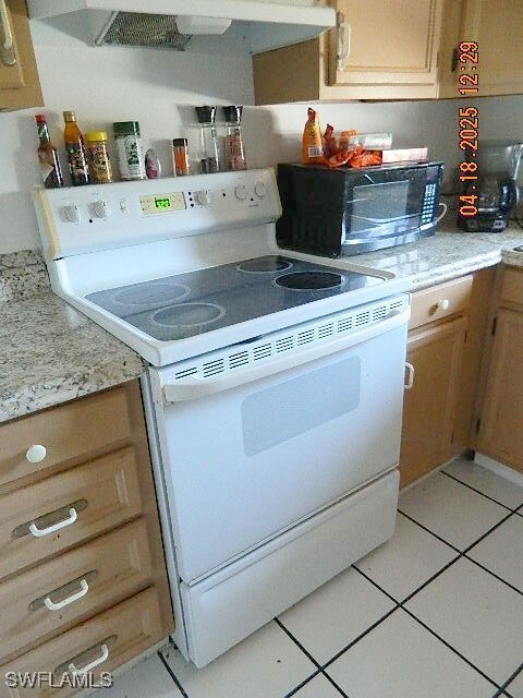 Kitchen featuring ventilation hood, electric stove