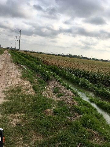 0 Billman Rd, Donna, TX 78537 - photo 2