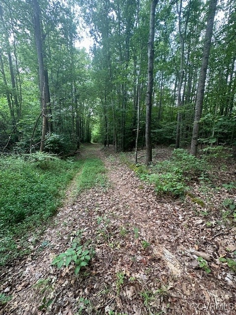 0 Ballsville Rd unit 2519909, Powhatan, VA 23139 - photo 4