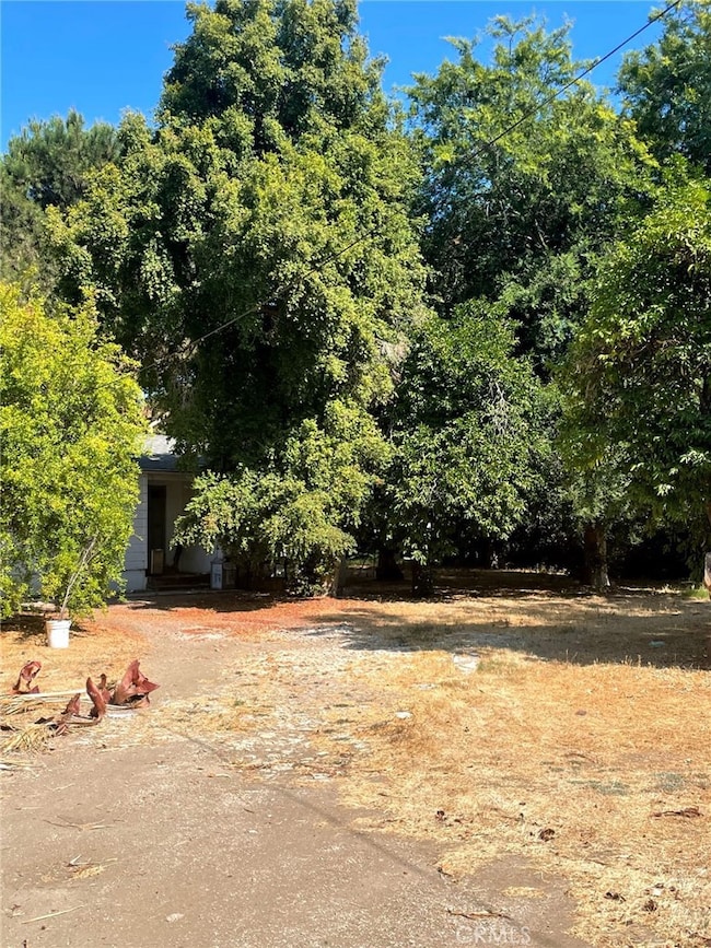 7110 Firmament Ave, Van Nuys, CA 91406 - photo 2