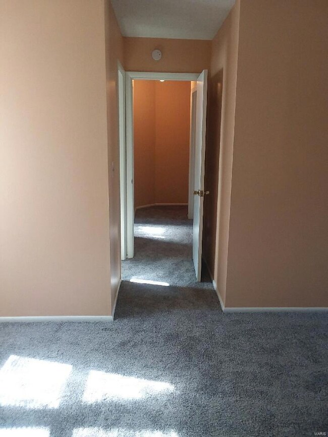 1109 Apache Dr unit B, Collinsville, IL 62234 - photo 5