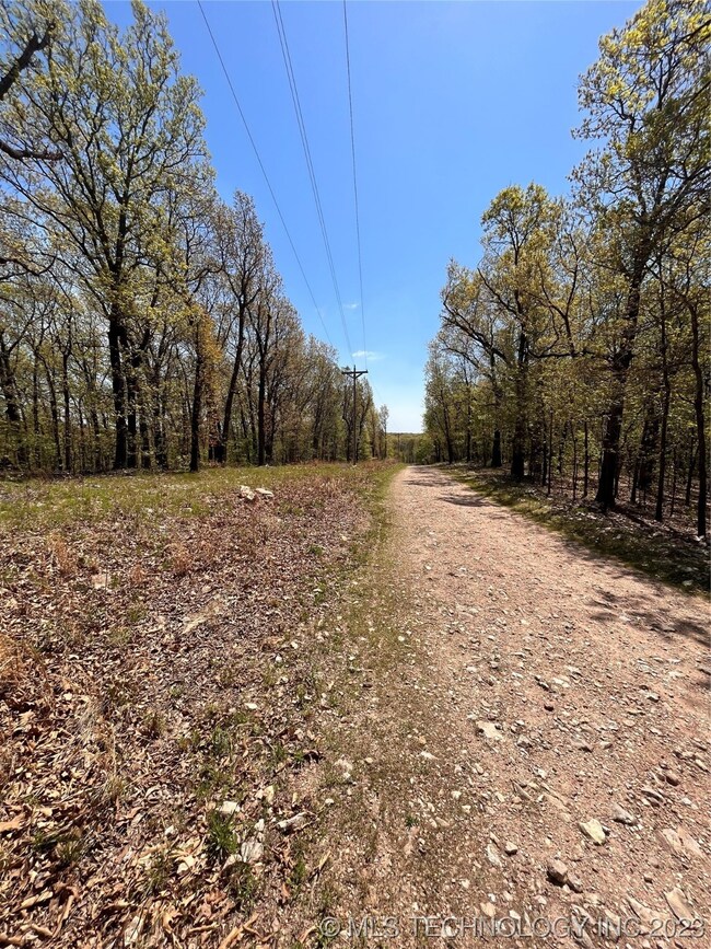 206 Cherokee Trail, Spavinaw, OK 74366 - photo 7