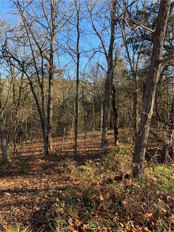 (Lot 22) Whitbeck Ln, Bella Vista, AR 72714 - photo 4