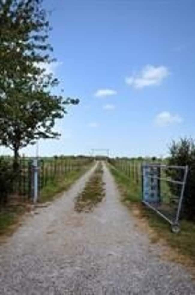 806, Savoy, TX 75479 - photo 2