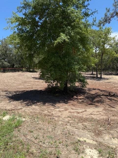 0 SE 148th Ave unit MFROM702851, Williston, FL 32696 - photo 4