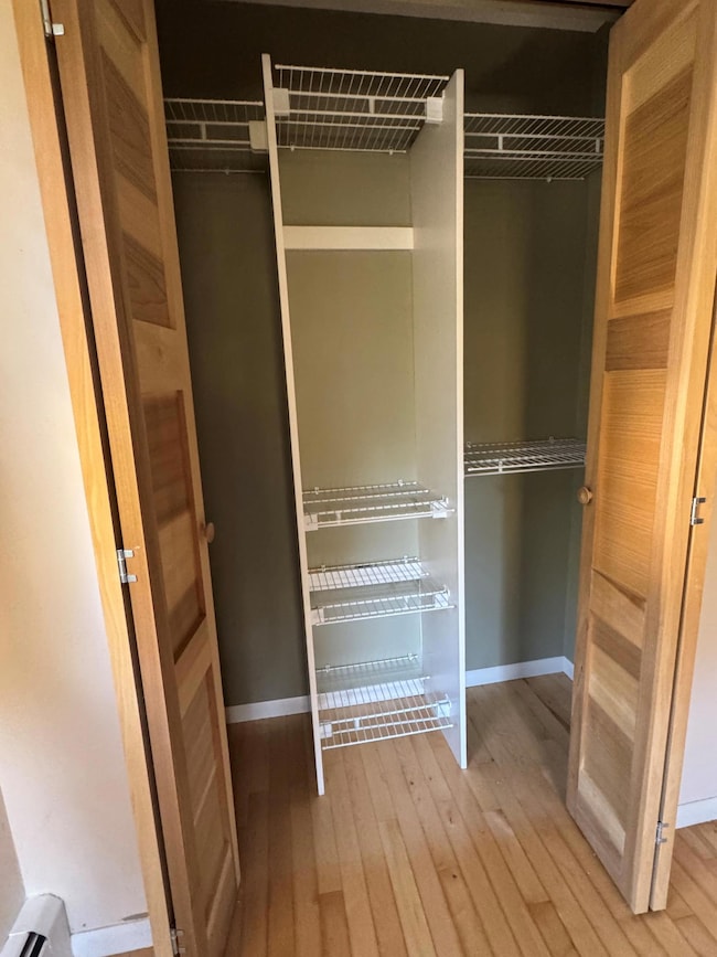 closet with organizer