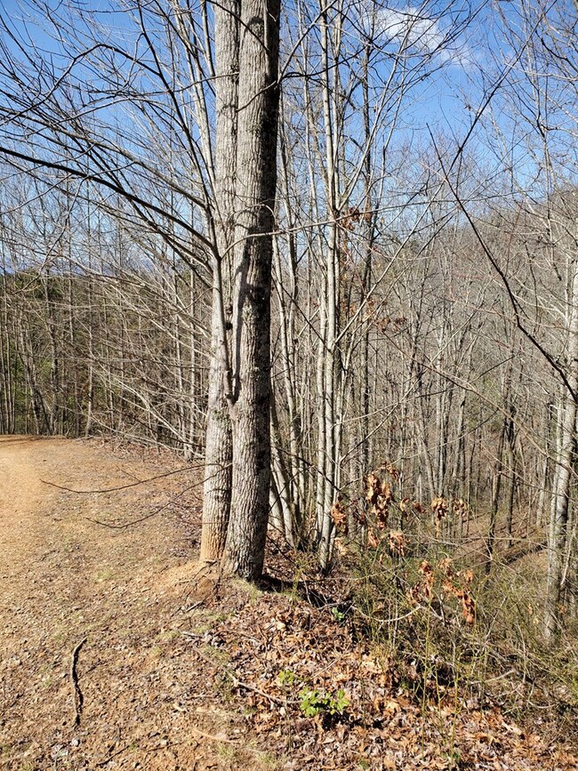 00 Roy Cook Rd, Franklin, NC 28734 - photo 4