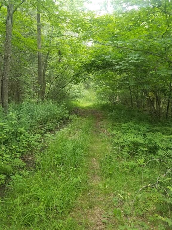 Existing roadway