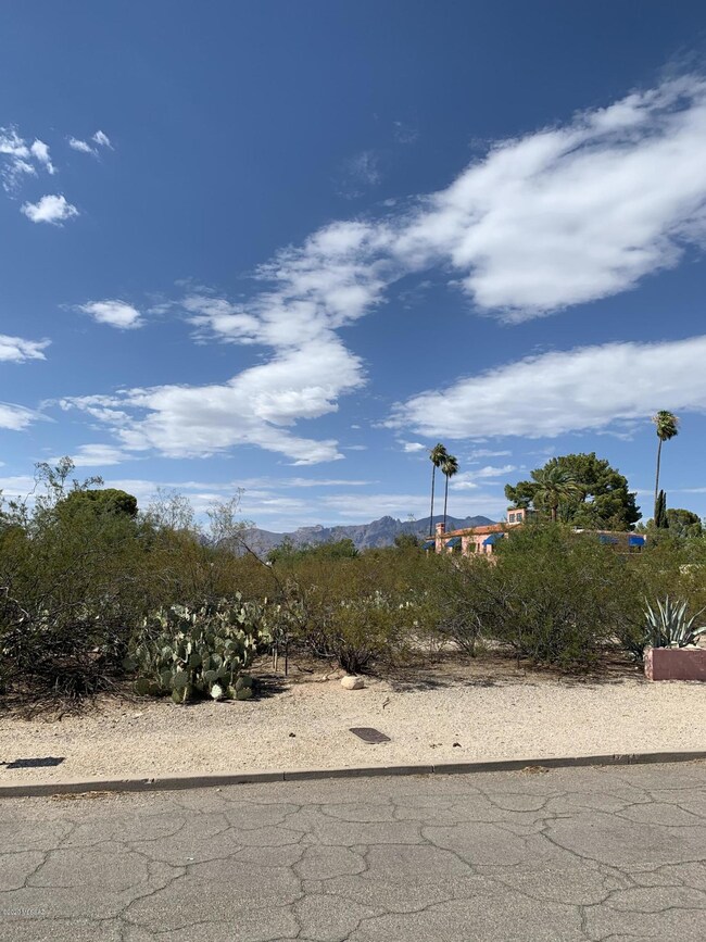 NORTH CATALINA VIEWS