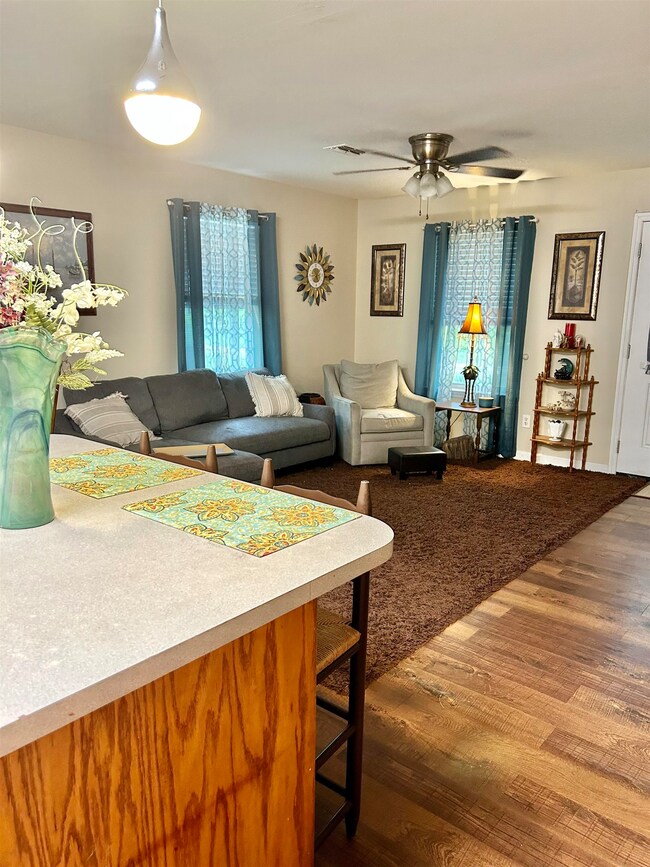 170 Chicopee Rd, Crawfordville, FL 32327 - photo 5