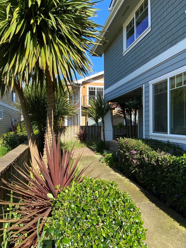 Front Entry Walk and Porch