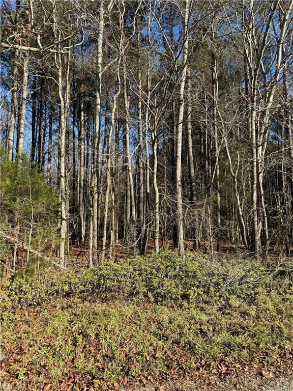 .95AC Cowpen Neck Rd, Gloucester, VA 23061 - photo 4