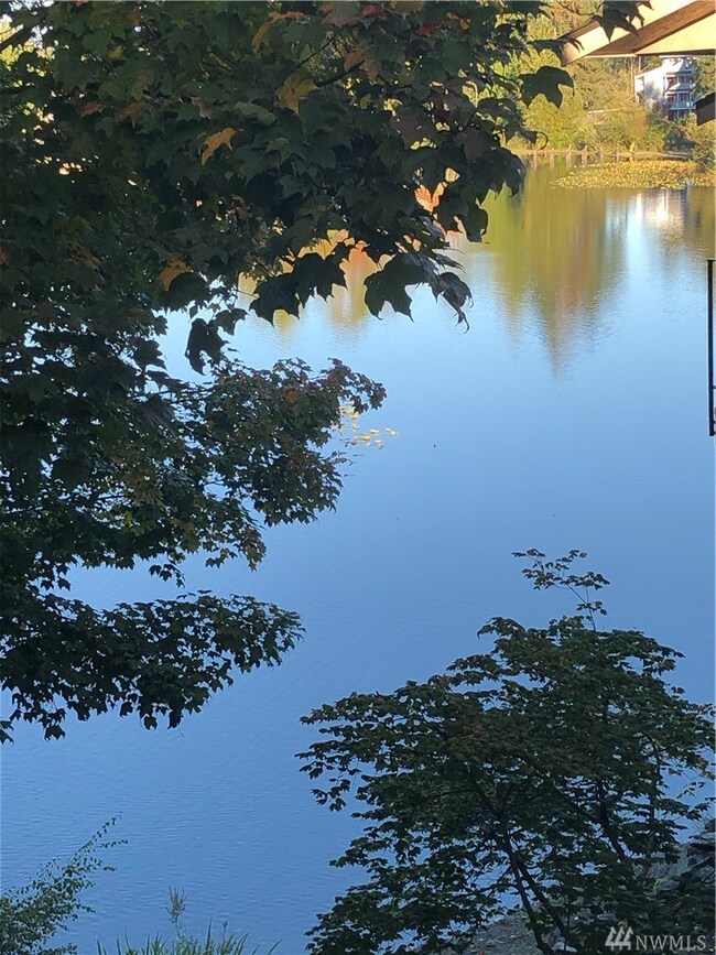 323 75th St SE unit C57, Everett, WA 98203 - photo 3