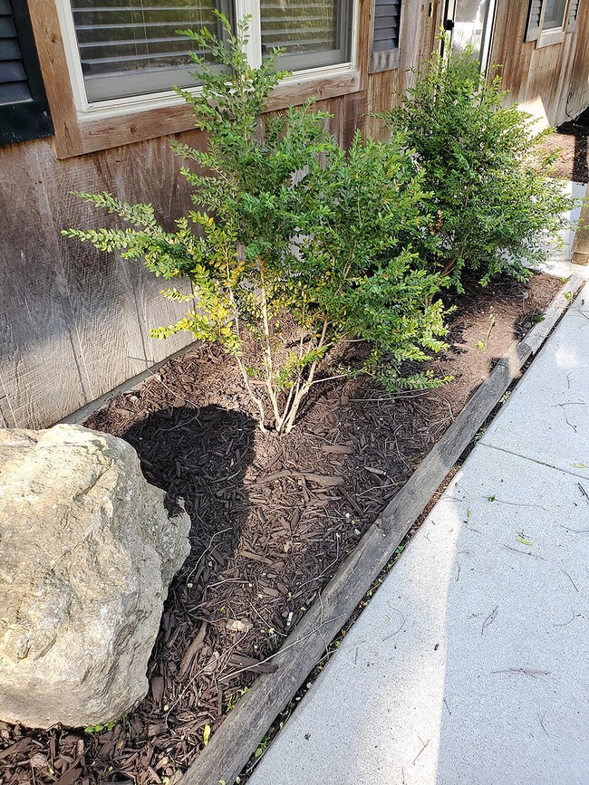 3703 W Timber View Dr_landscaping bed