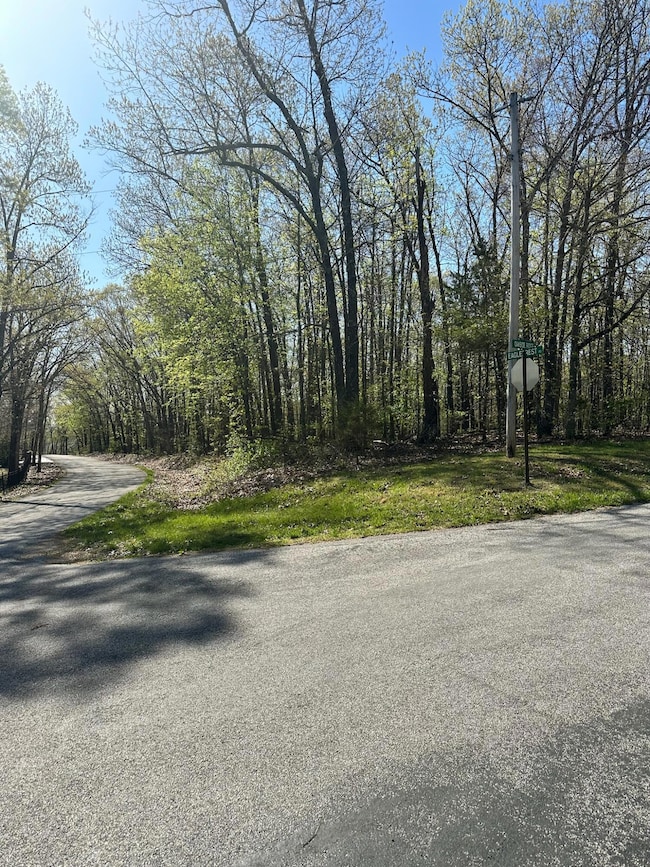 L42a & 43a Eaglecrest Rd, Cape Fair, MO 65624 - photo 7