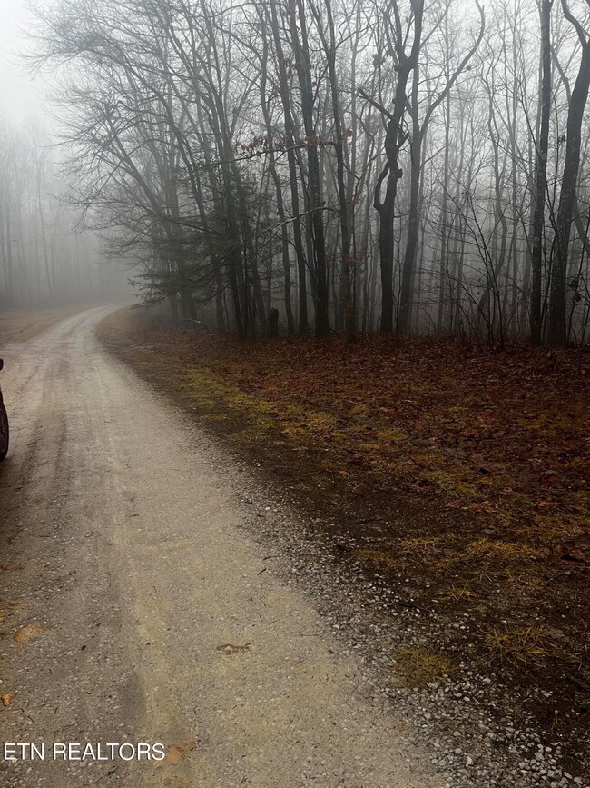 0 Running Deer unit RTC2989424, Crab Orchard, TN 37723 - photo 4