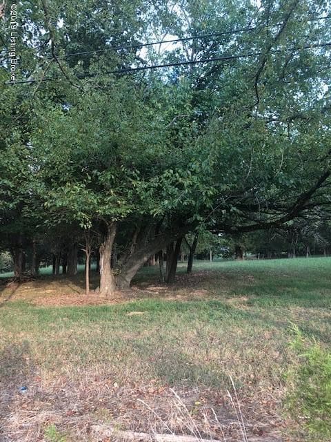 10103 Oak Grove Rd, Louisville, KY 40291 - photo 3