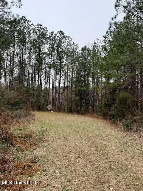 0 Maypop Ln unit 4104657, Meadville, MS 39653 - photo 3